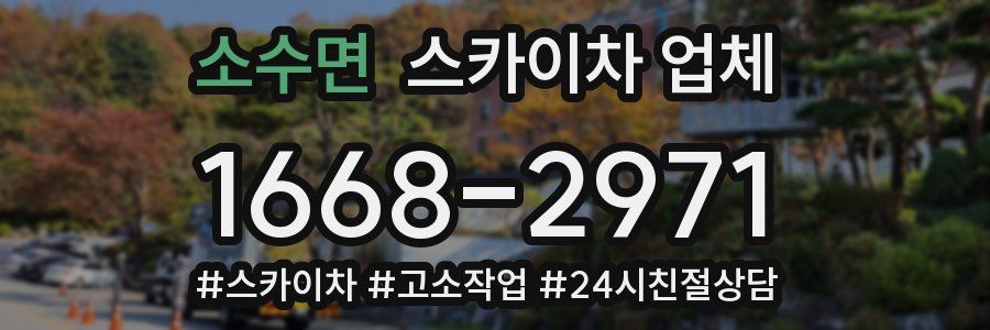 소수면 스카이차 업체