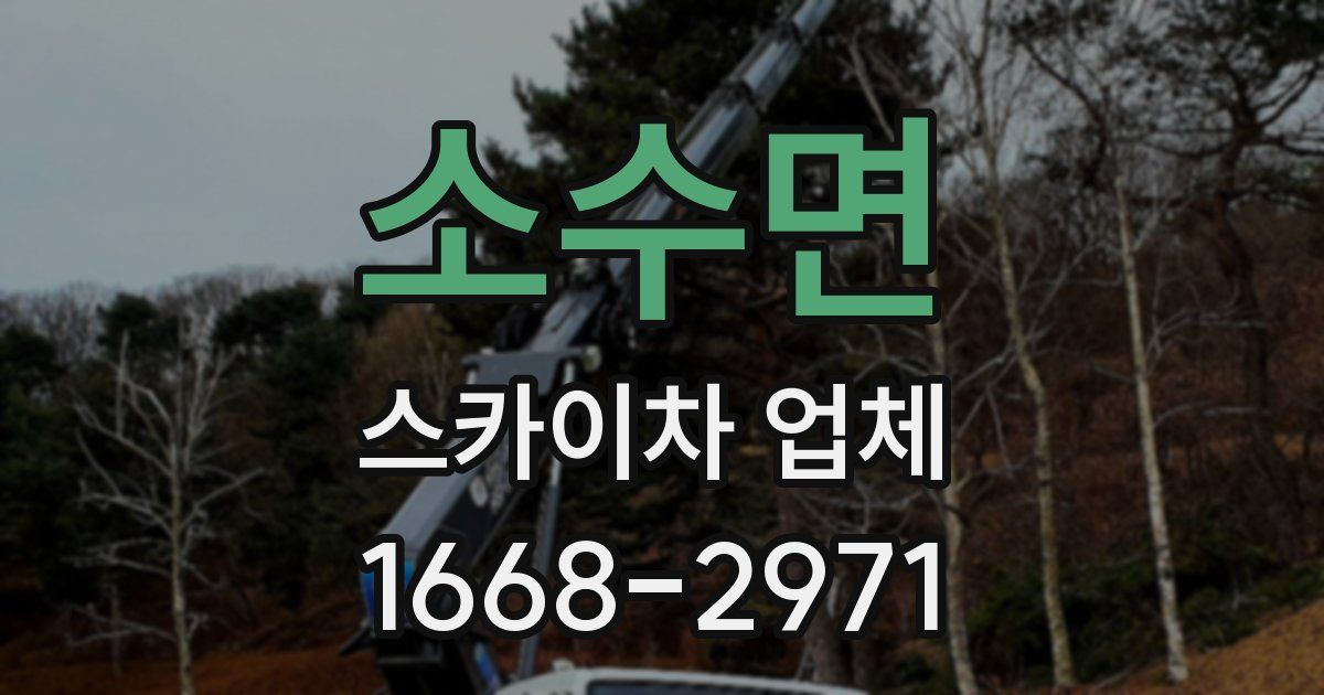 소수면 스카이차 업체