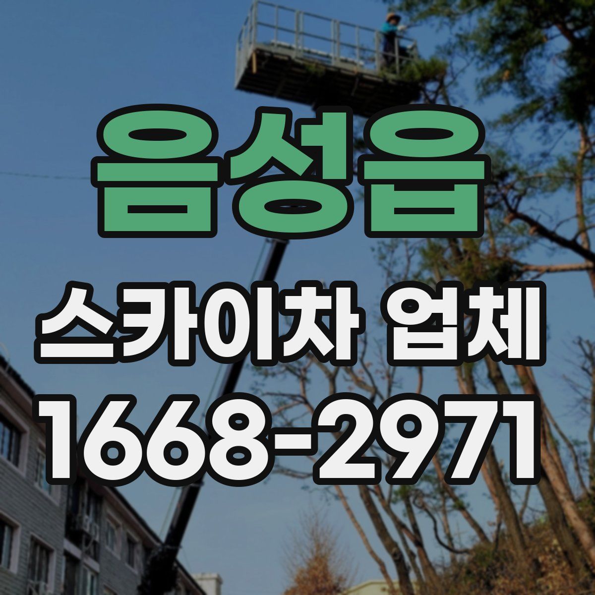 음성읍 스카이차 업체