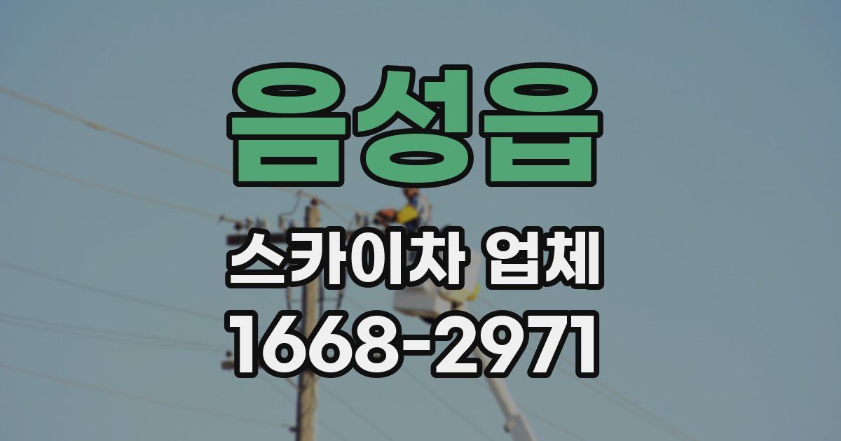 음성읍 스카이차 업체