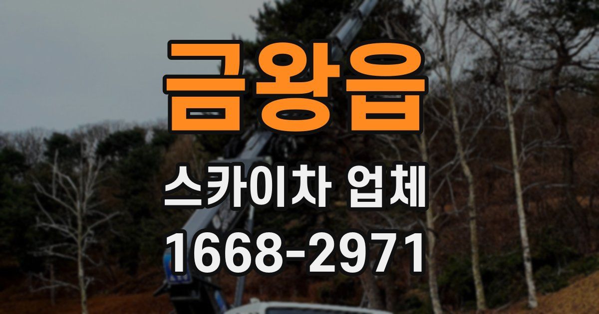 금왕읍 스카이차 업체