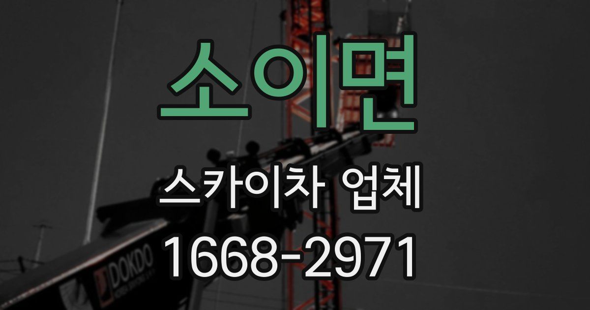 소이면 스카이차 업체