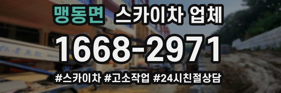 맹동면 스카이차 업체