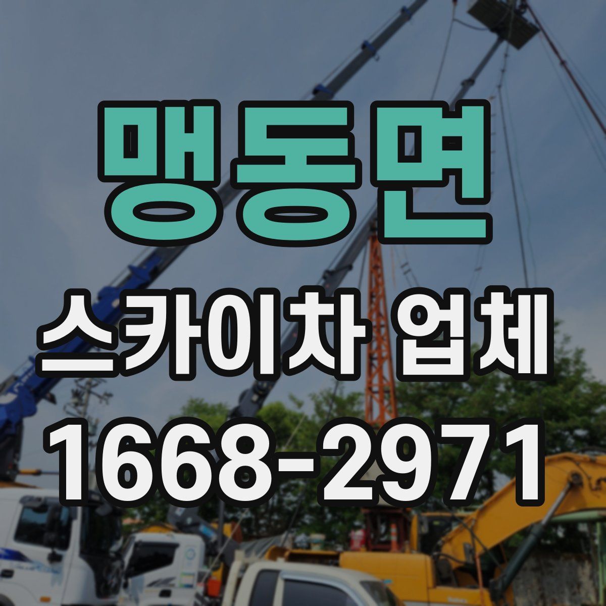 맹동면 스카이차 업체