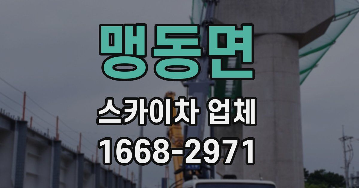 맹동면 스카이차 업체