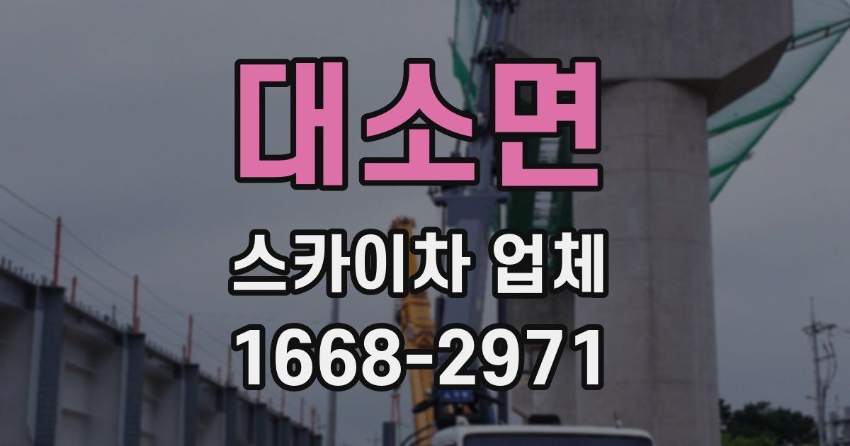대소면 스카이차 업체