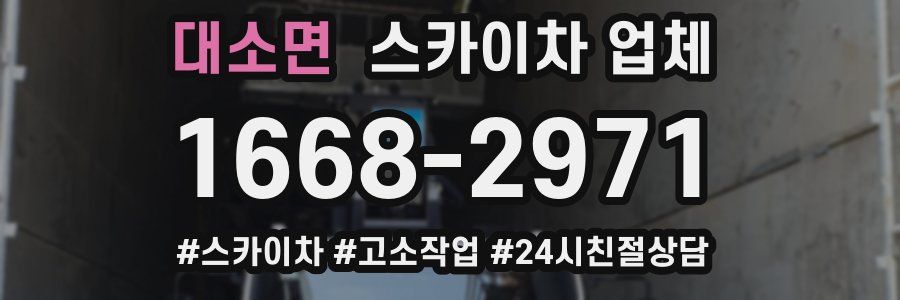 대소면 스카이차 업체