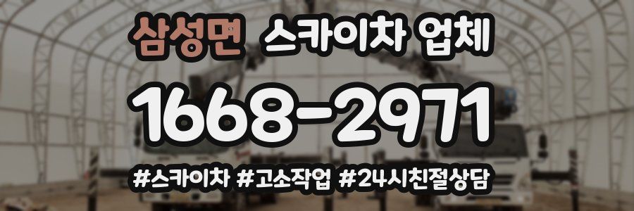삼성면 스카이차 업체