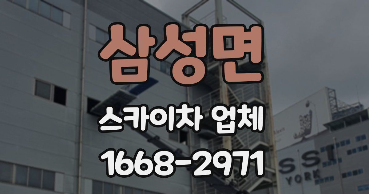 삼성면 스카이차 업체