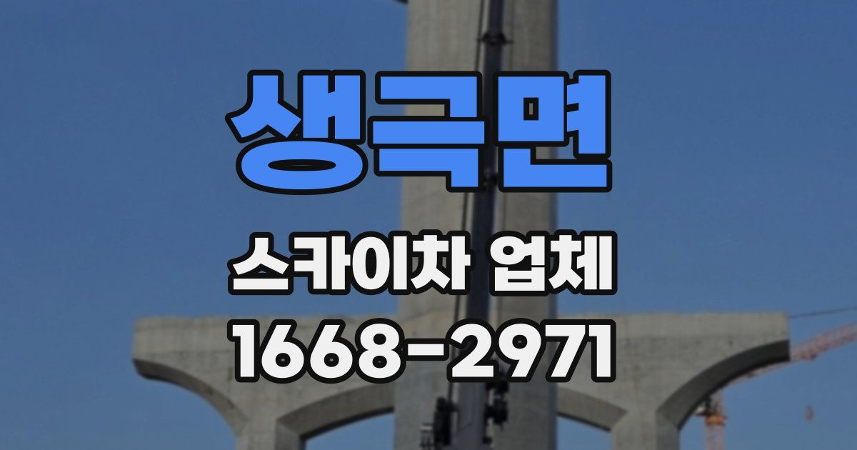 생극면 스카이차 업체