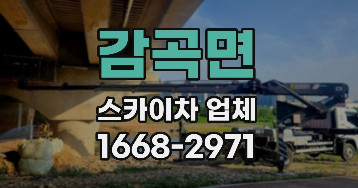 감곡면 스카이차 업체