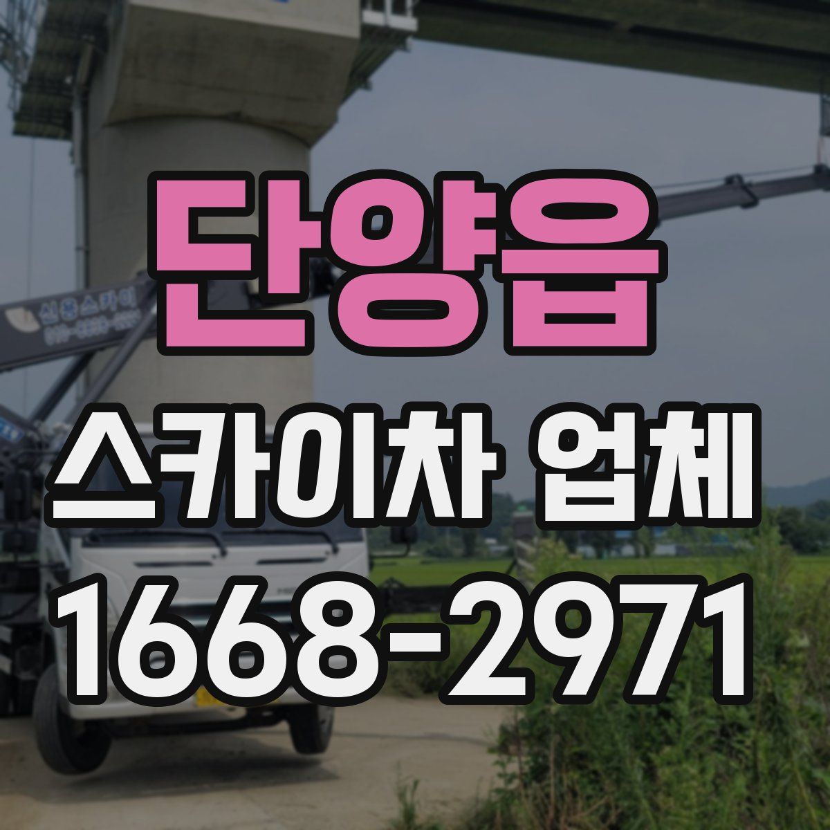 단양읍 스카이차 업체