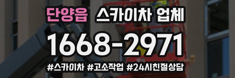 단양읍 스카이차 업체