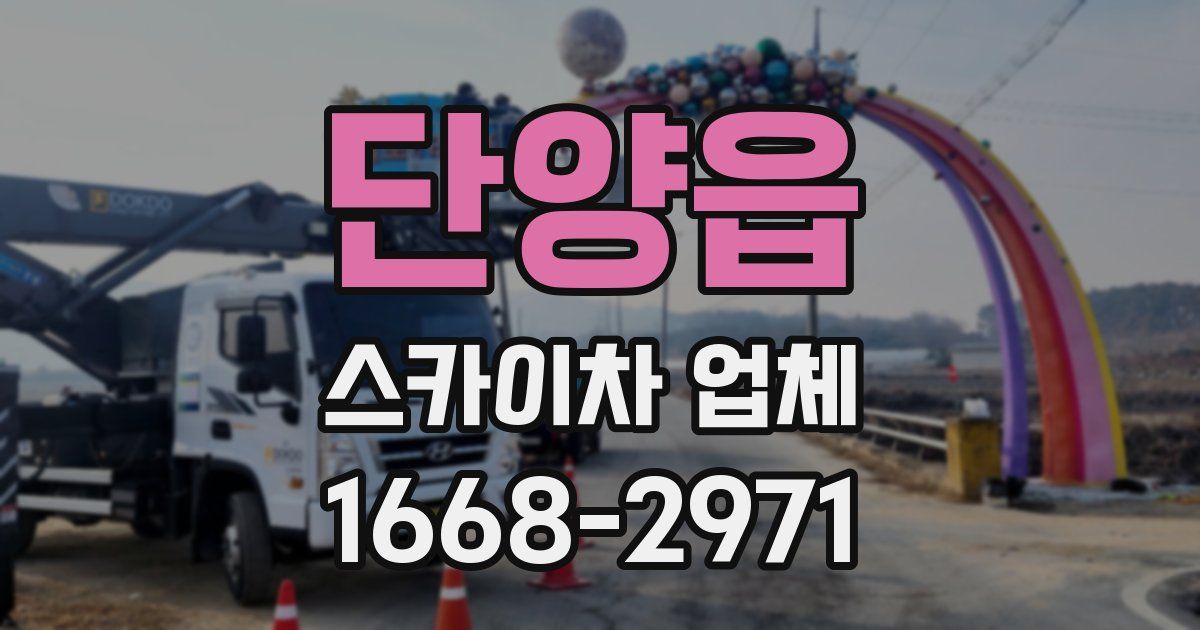 단양읍 스카이차 업체