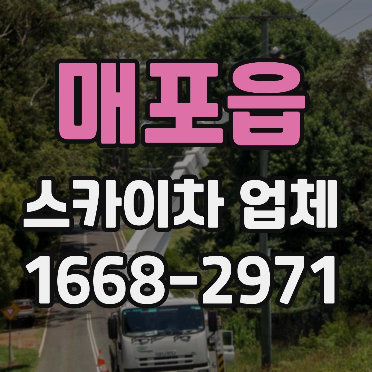 매포읍 스카이차 업체