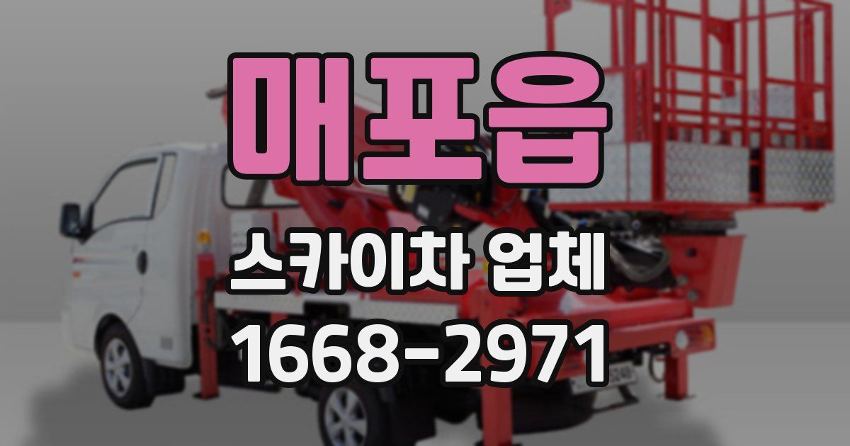 매포읍 스카이차 업체
