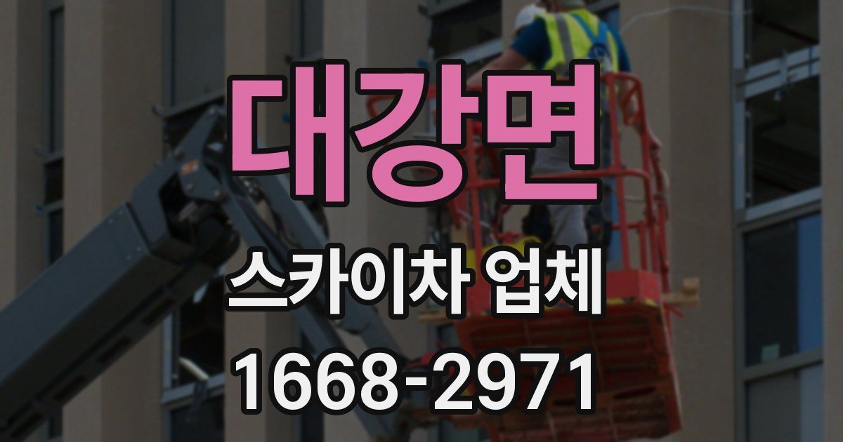 대강면 스카이차 업체