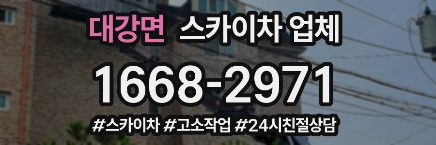 대강면 스카이차 업체