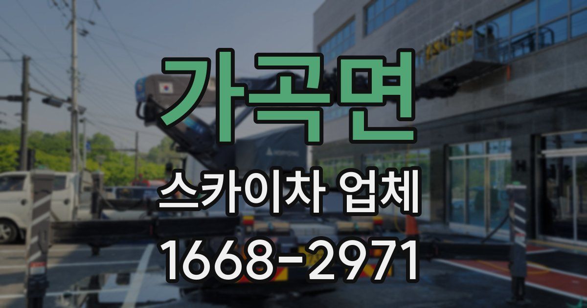 가곡면 스카이차 업체