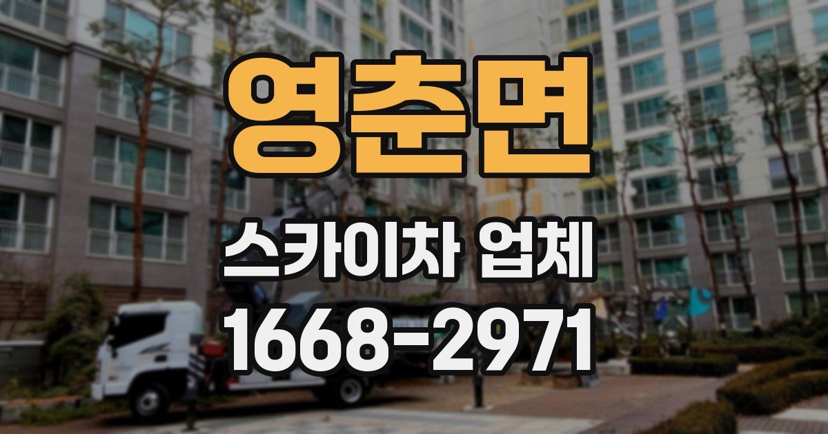 영춘면 스카이차 업체