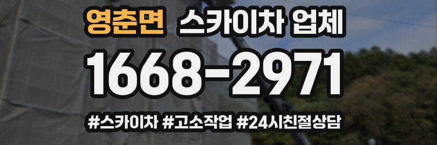 영춘면 스카이차 업체