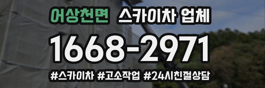 어상천면 스카이차 업체
