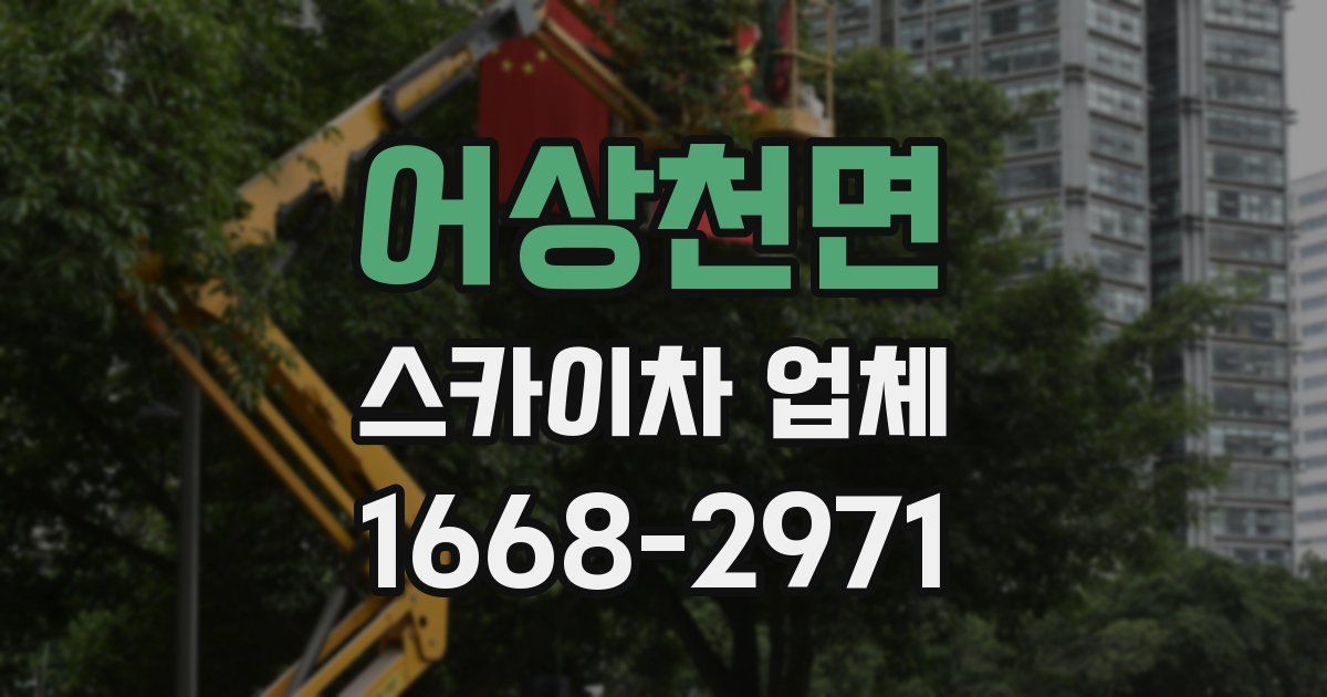 어상천면 스카이차 업체