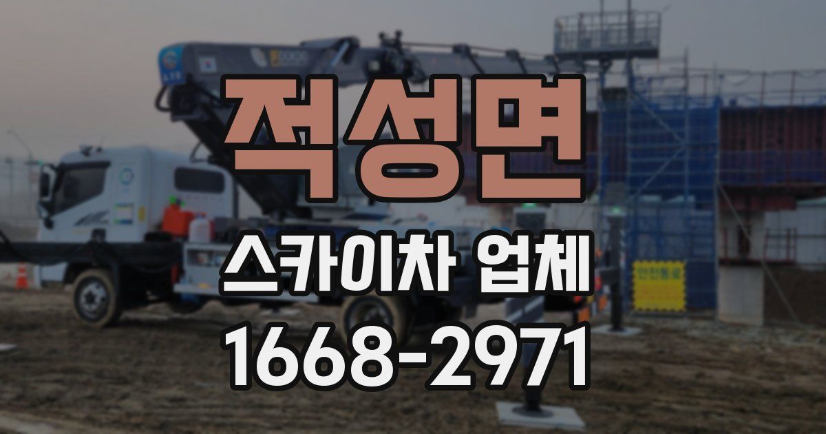 적성면 스카이차 업체