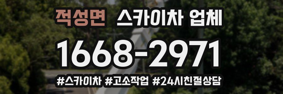 적성면 스카이차 업체