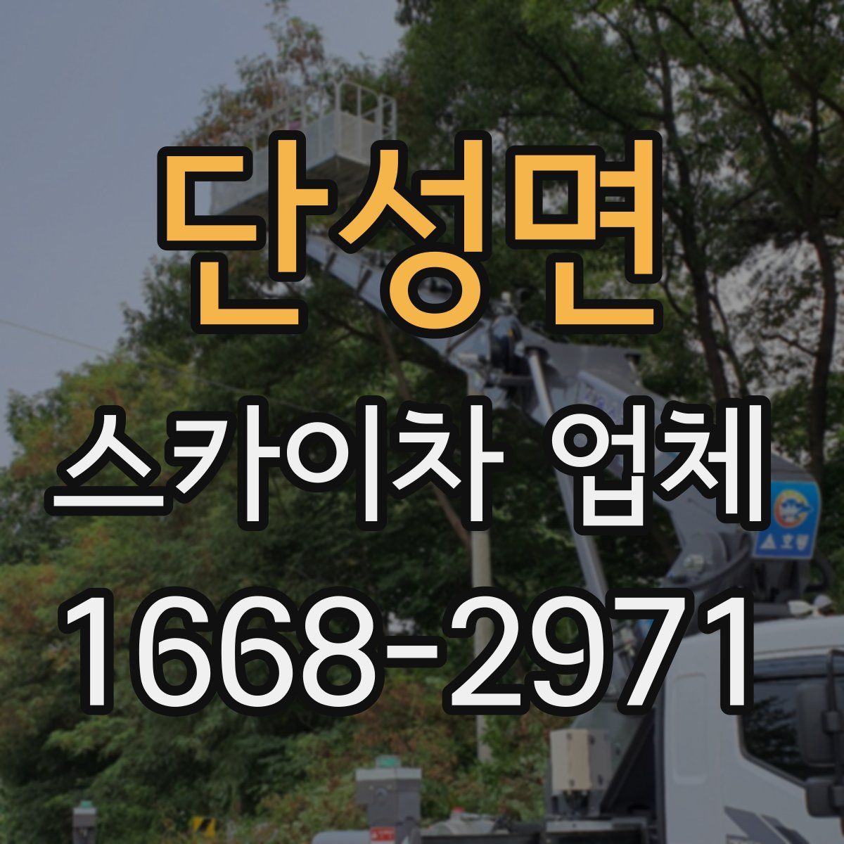 단성면 스카이차 업체