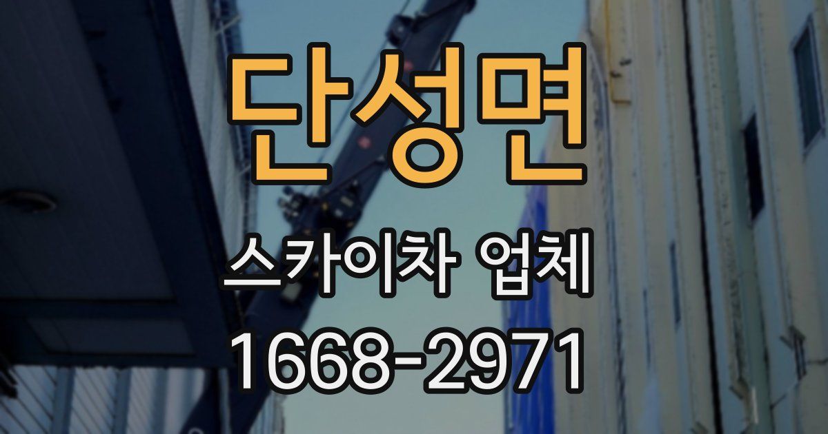 단성면 스카이차 업체