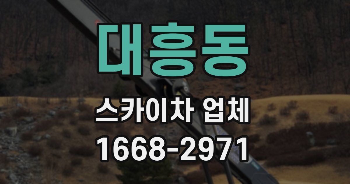 대흥동 스카이차 업체