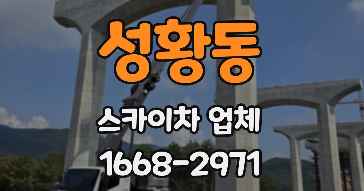 성황동 스카이차 업체