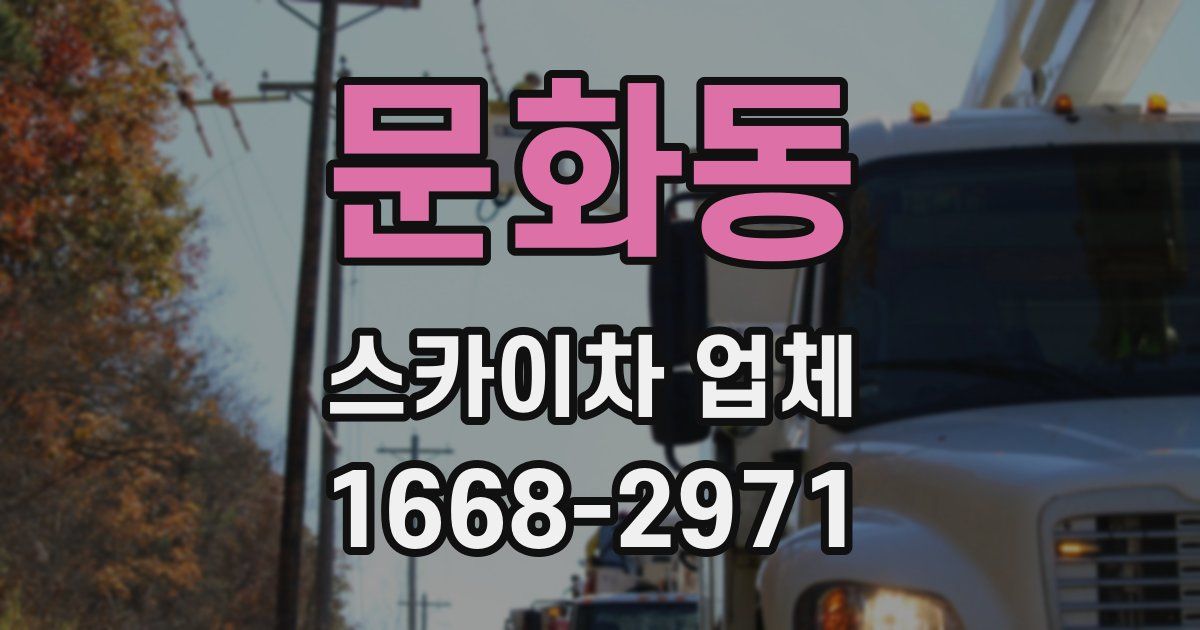 문화동 스카이차 업체