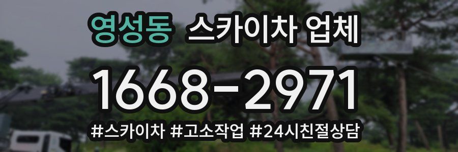 영성동 스카이차 업체