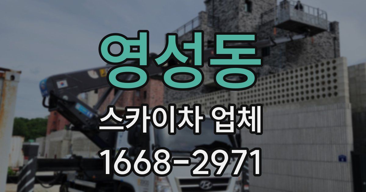 영성동 스카이차 업체