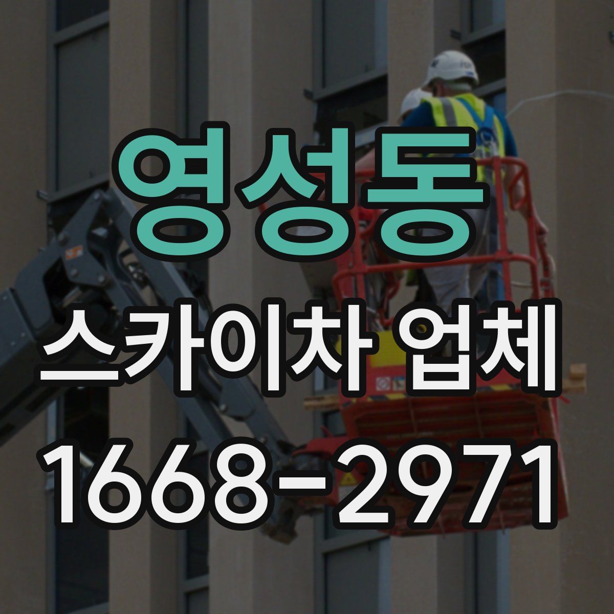 영성동 스카이차 업체