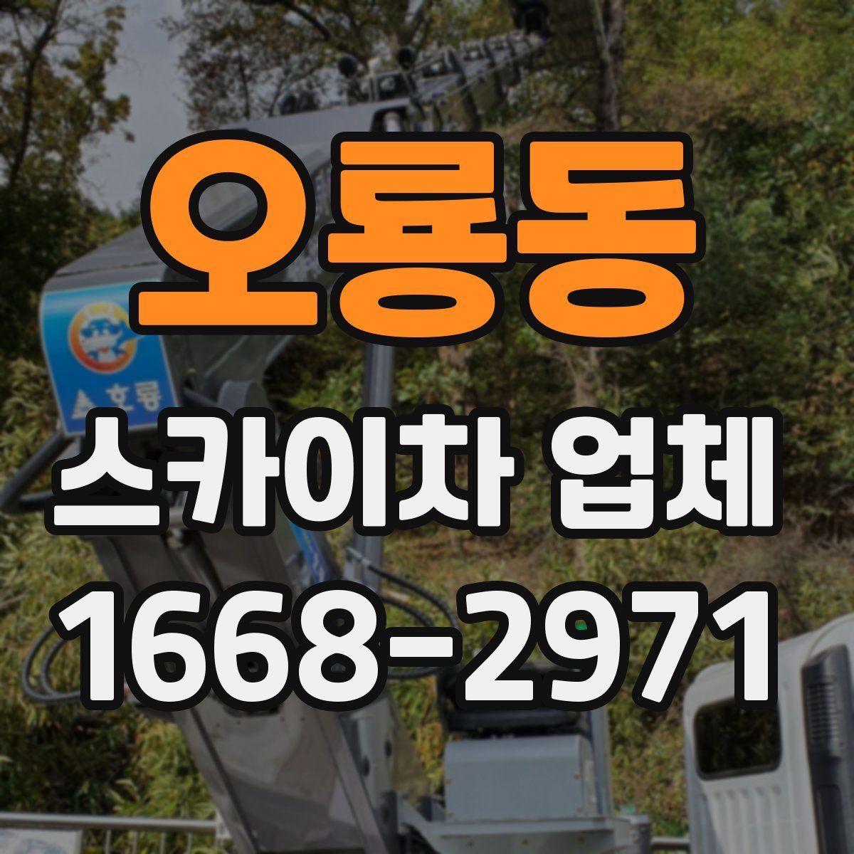 오룡동 스카이차 업체