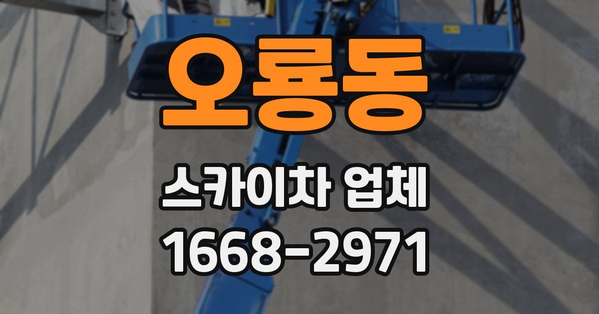 오룡동 스카이차 업체