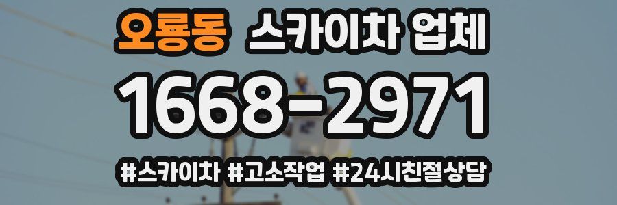 오룡동 스카이차 업체