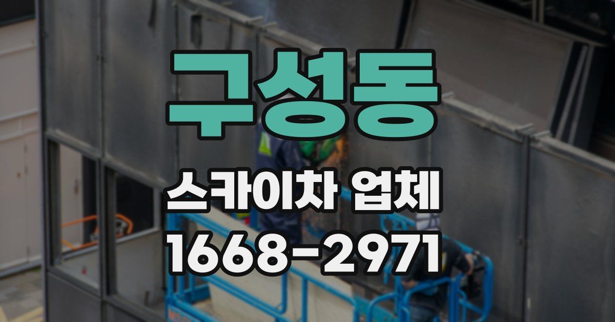 구성동 스카이차 업체