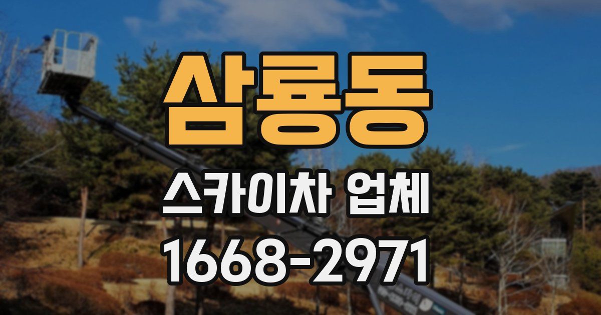 삼룡동 스카이차 업체