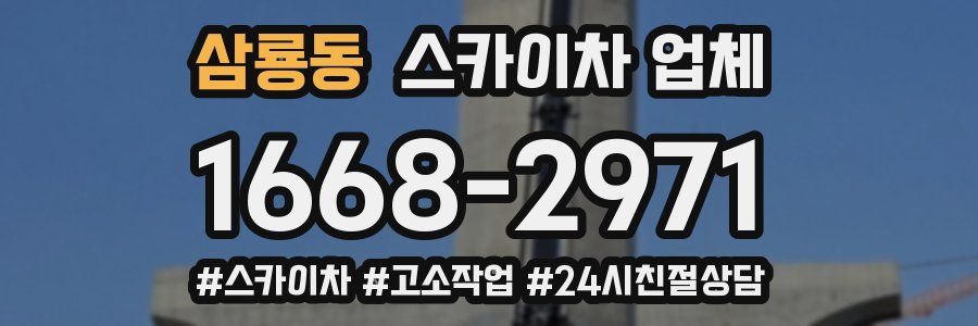 삼룡동 스카이차 업체