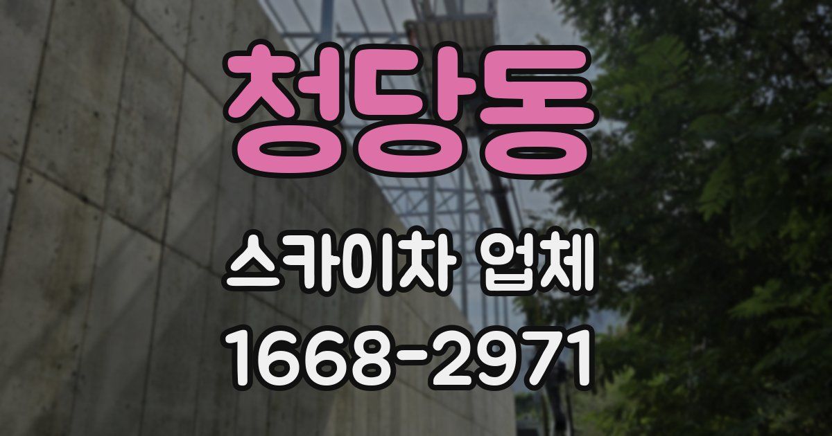 청당동 스카이차 업체