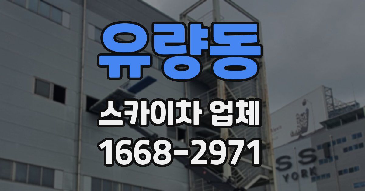 유량동 스카이차 업체
