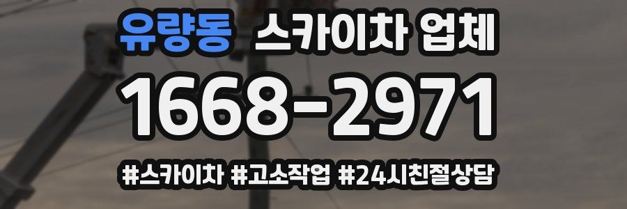 유량동 스카이차 업체
