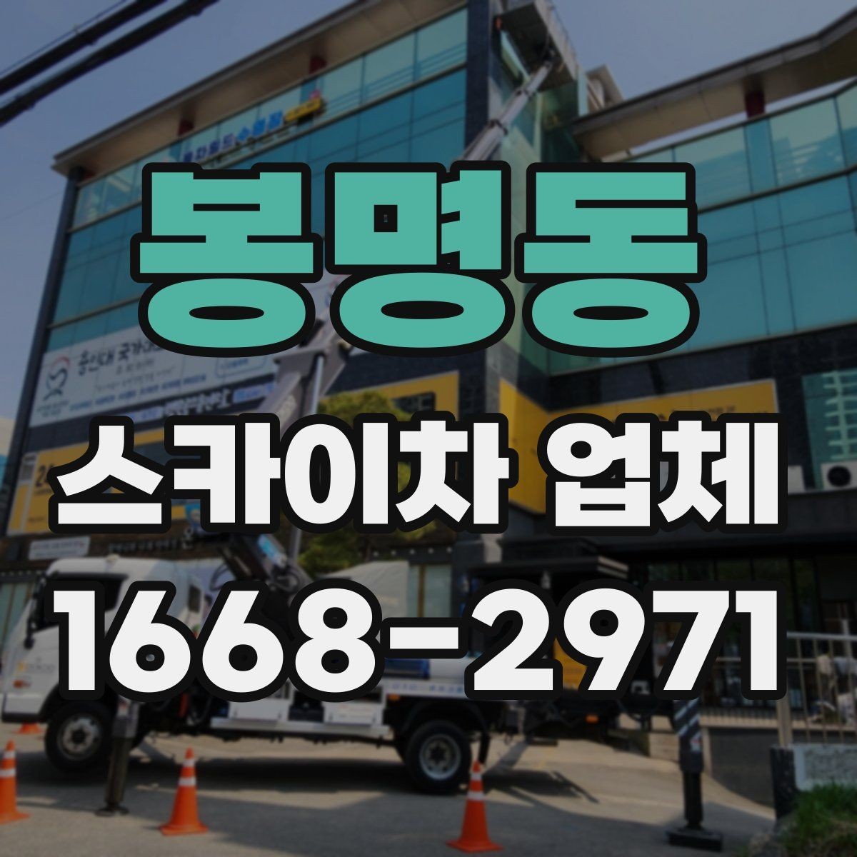 봉명동 스카이차 업체 작업 사례로 보는 활용 범위