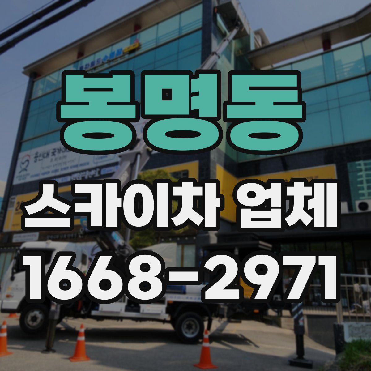 봉명동 스카이차 업체