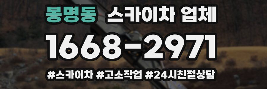 봉명동 스카이차 업체