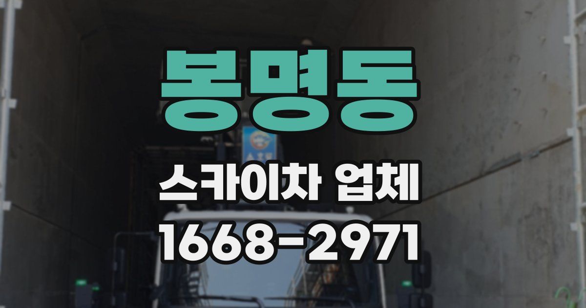 봉명동 스카이차 업체